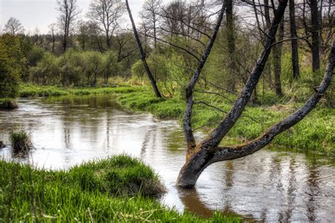 puszcza bolimowska ciekawe miejsca|Oaza zieleni między Warszawą a Łodzią